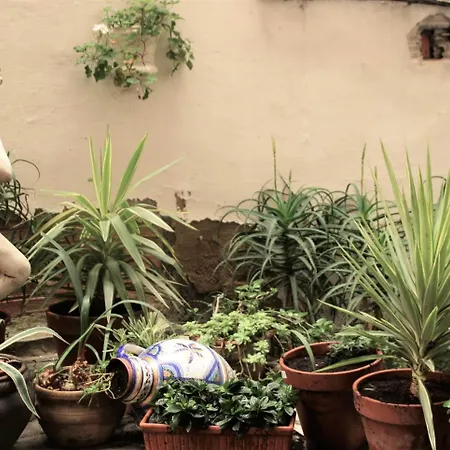 Bypillow Irala Μπιλμπάο